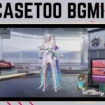 Casetoo BGMI ID